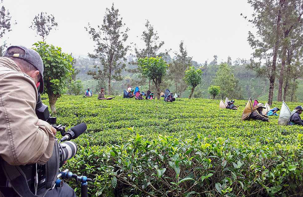 Film Fixer in Sri Lanka