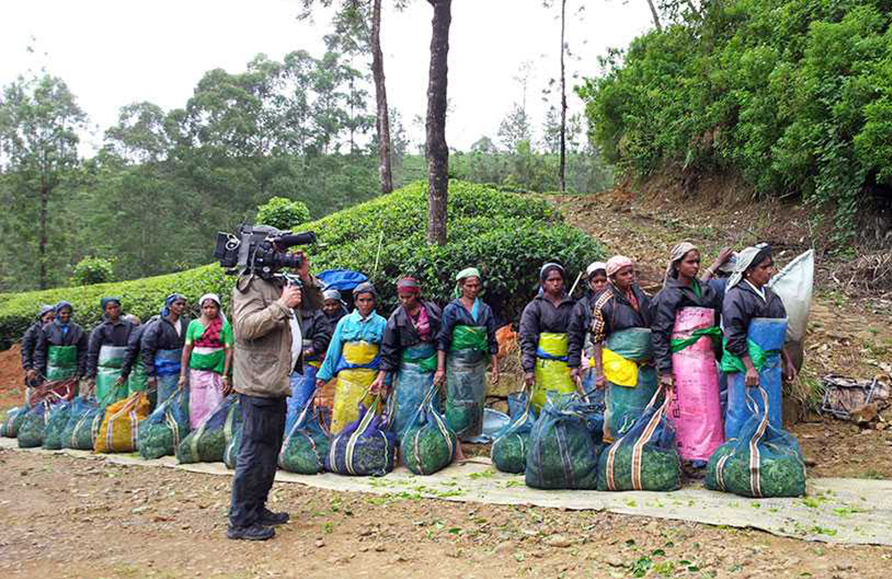 Film Fixer in Sri Lanka